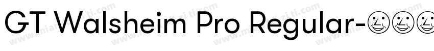GT Walsheim Pro Regular字体转换